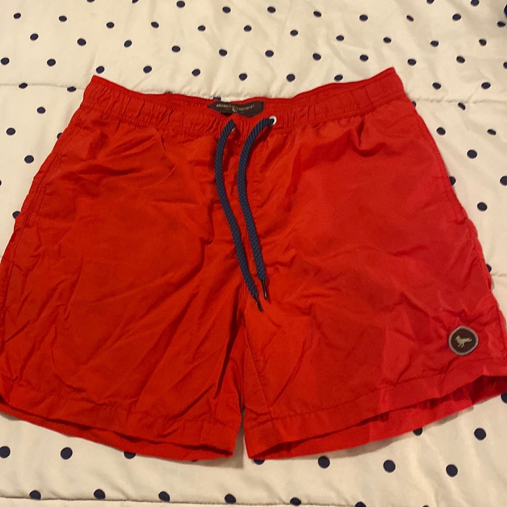 Mens Modern Amusement Swim Trunks